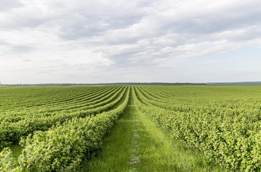 Un dispositif pour aider les agriculteurs à réduire leurs consommations d’énergie